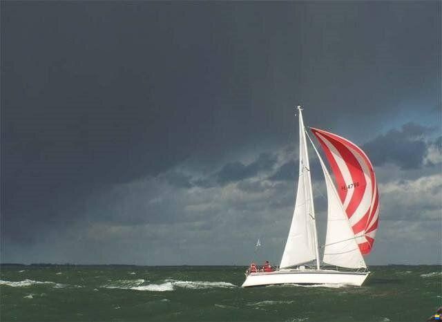 Westerly Typhoon 37