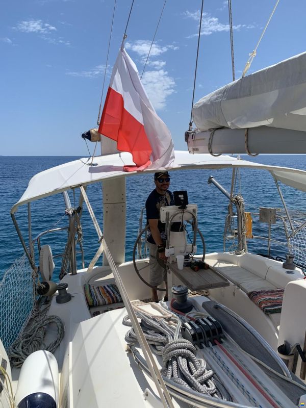 Delphia 33