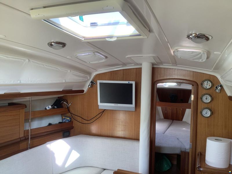 Delphia 33