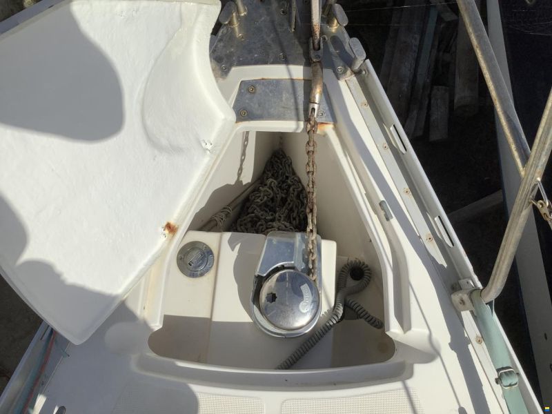 Delphia 33