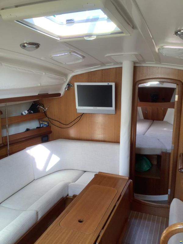 Delphia 33