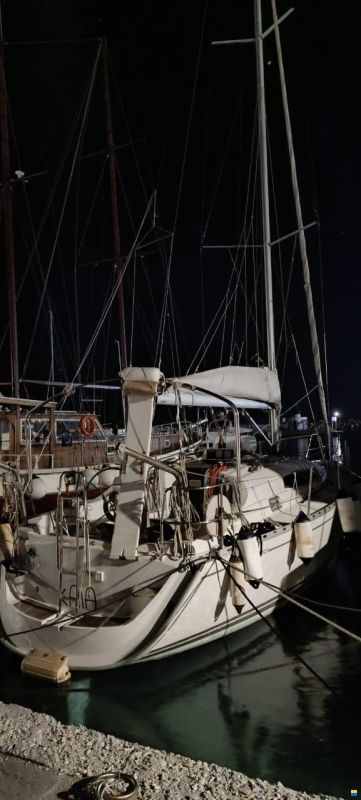 Delphia 33