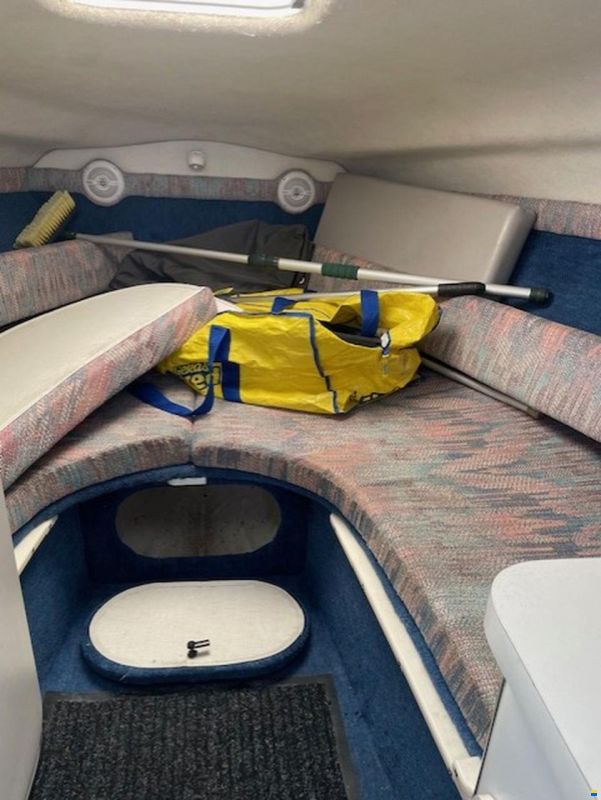 Chris Craft 228 Concept