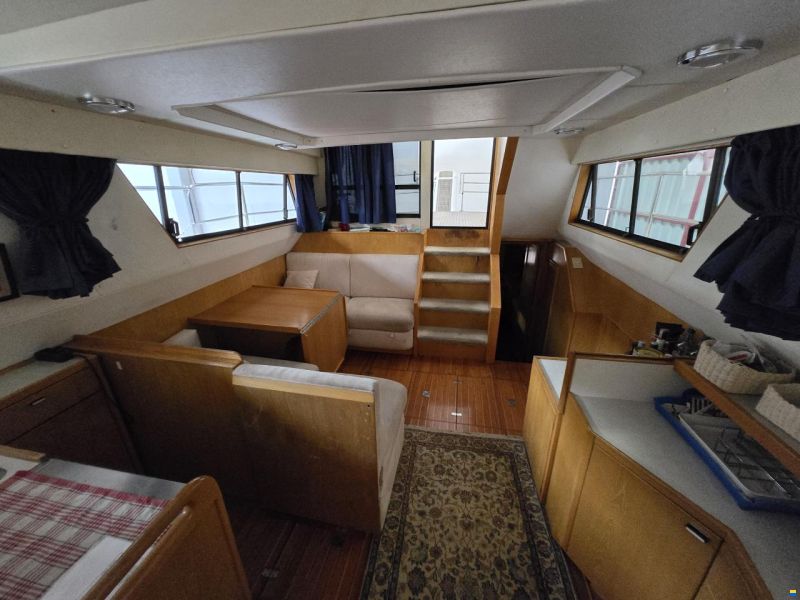 Cheer Men Marine Seahawk 50