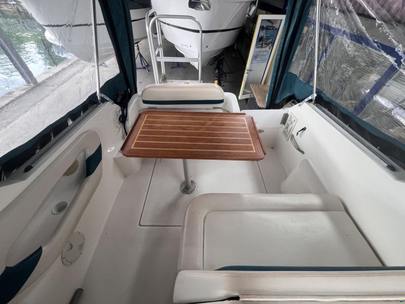 Wellcraft Excel 260 SE