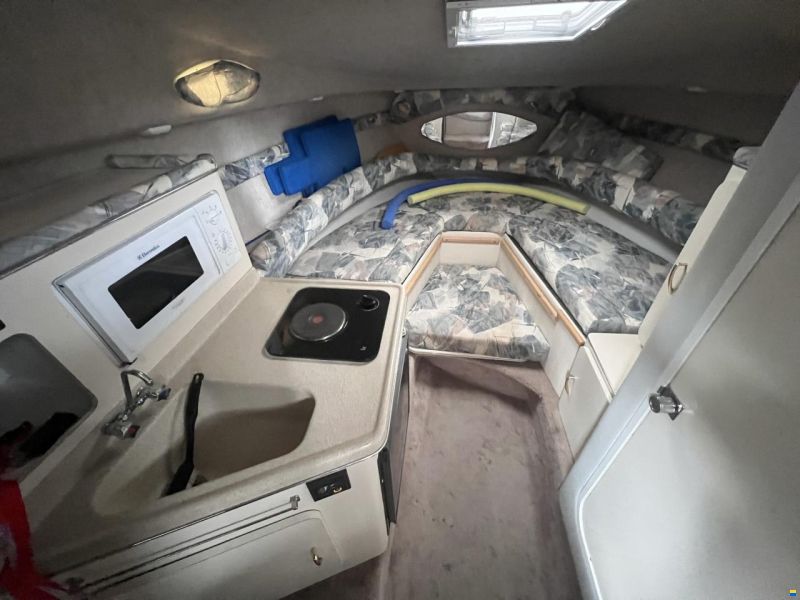 Wellcraft Excel 260 SE