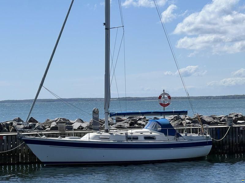 HALLBERG RASSY 29