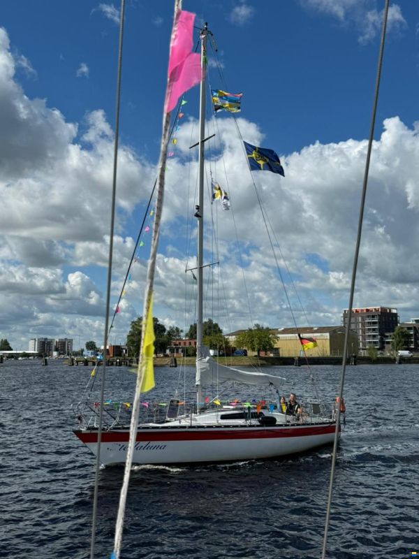 Helmsmann 31