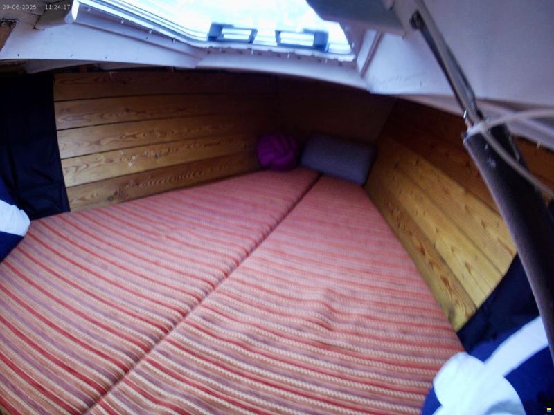 Helmsmann 31