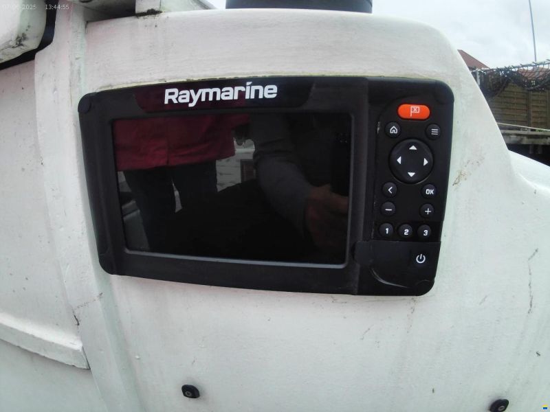 Helmsmann 31