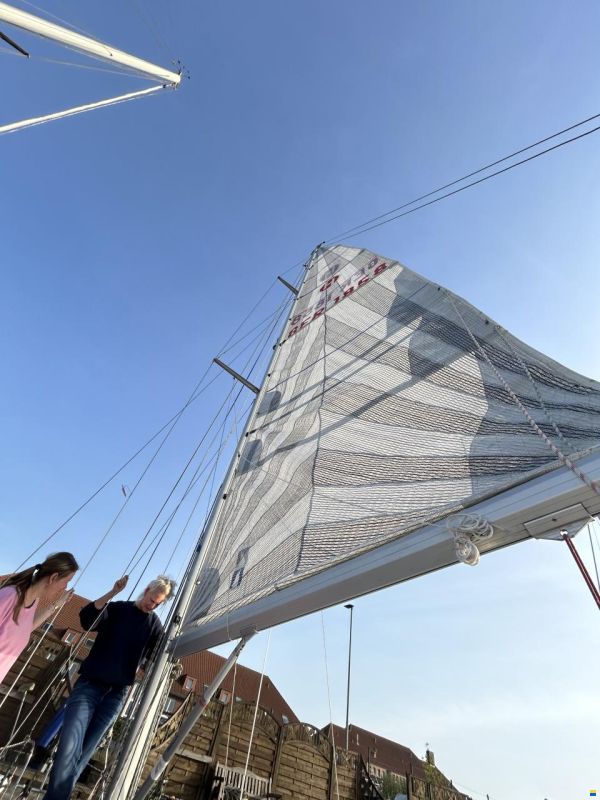 Helmsmann 31