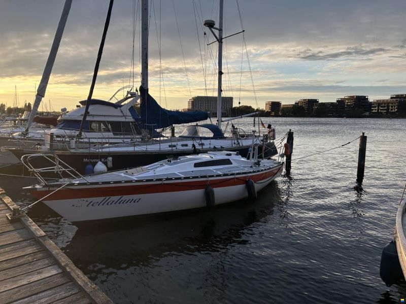 Helmsmann 31