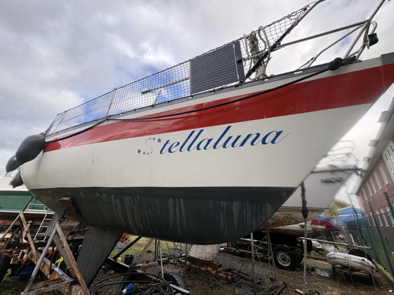 Helmsmann 31