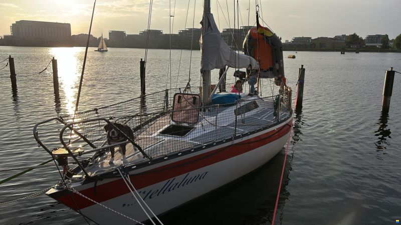 Helmsmann Helmsman 31