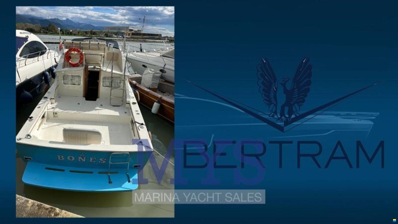 Bertram 28 Fly
