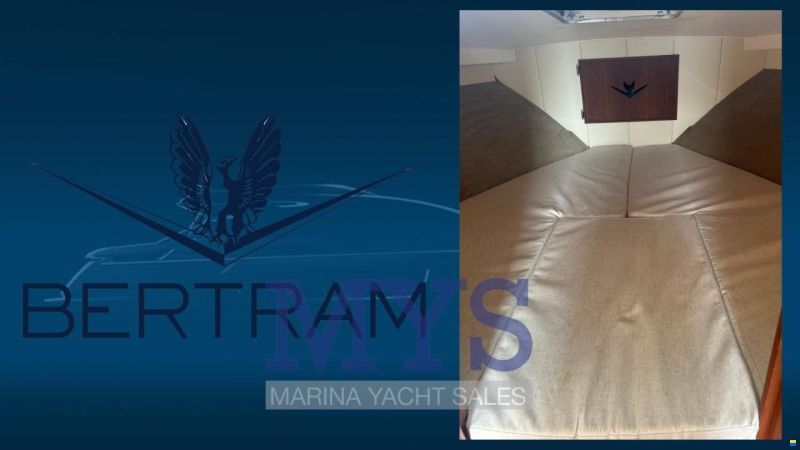 Bertram 28 Fly