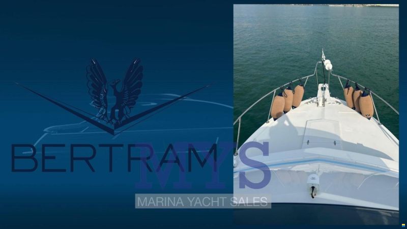 Bertram 28 Fly