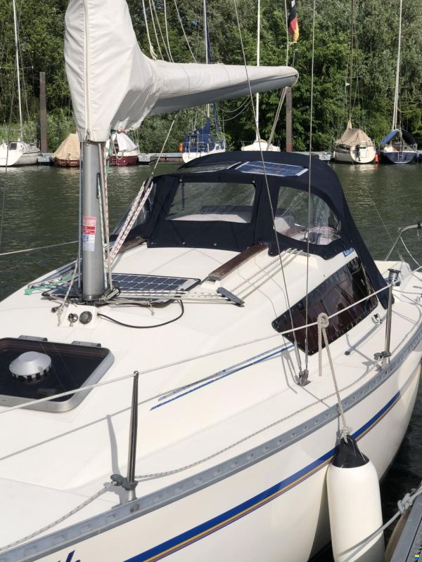 Gib Sea 242