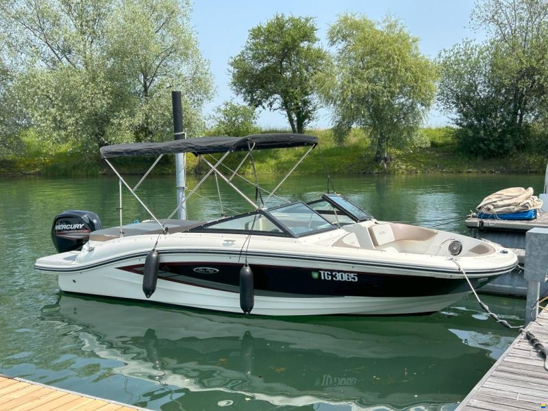 Sea Ray SPX  190 OB