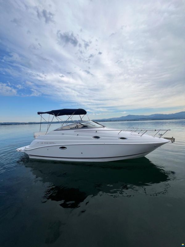 Regal 2665 Commodore Hensa Edition