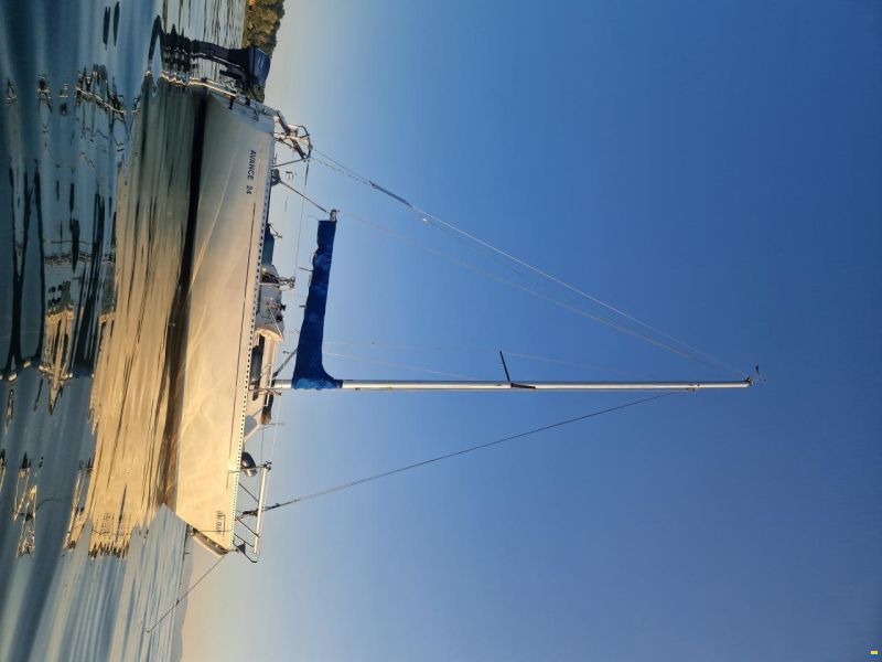 Oeja Batar Avance 24