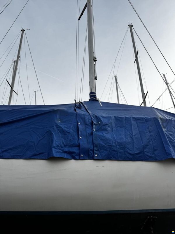 Oeja Batar Avance 24