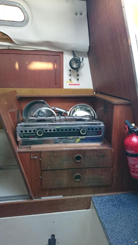 Oeja Batar Avance 24