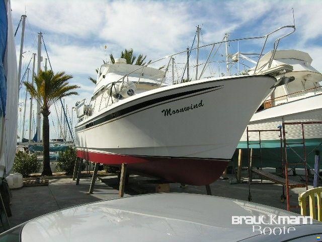 Edership 40