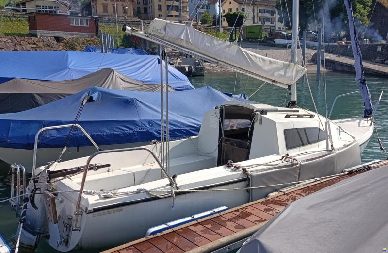 Albatros 570