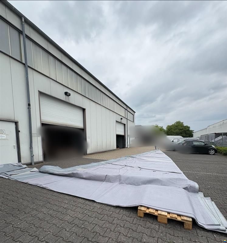 Zwei große Segel von Dyole Sail