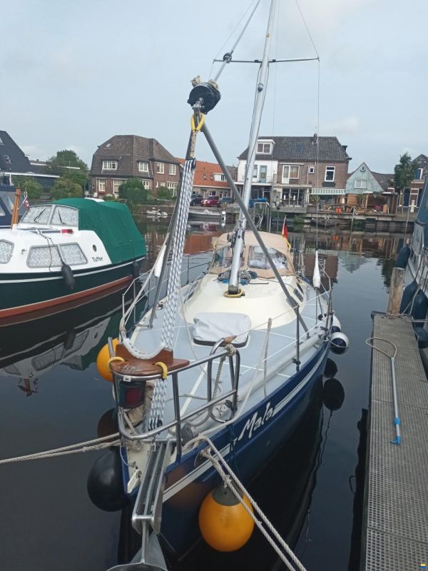 Breewijd Scilly 8.65
