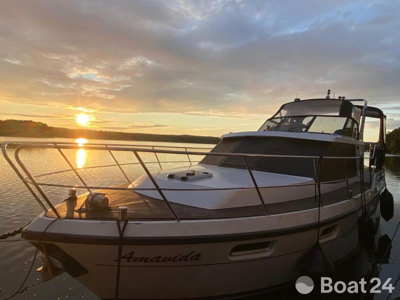 Boarnstream Boarncruiser 365