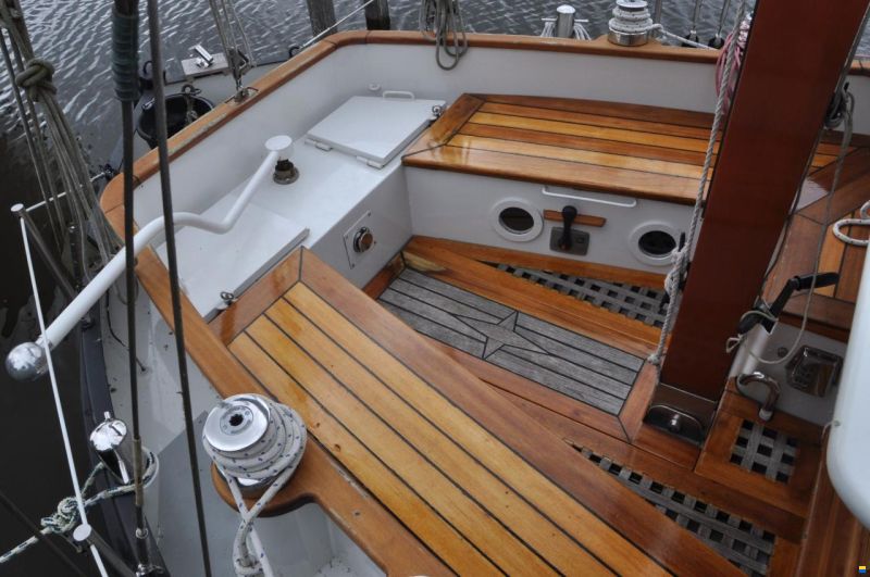 Danish Rose 31