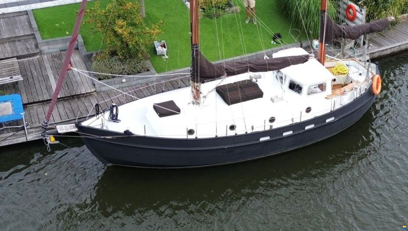 Danish Rose 31