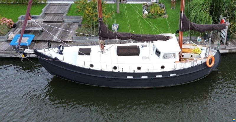 Danish Rose 31