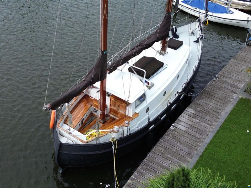Danish Rose 31