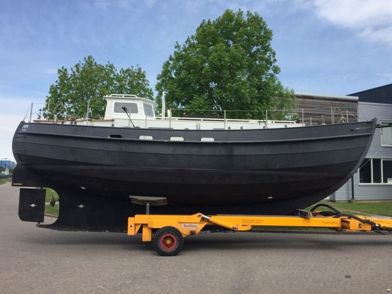 Danish Rose 31