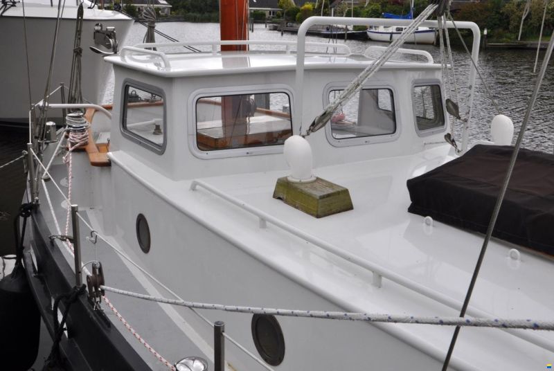 Danish Rose 31