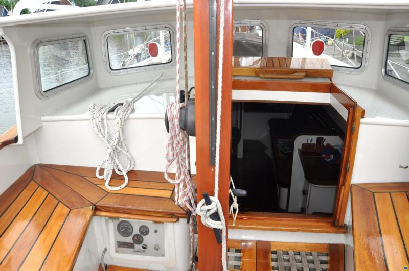 Danish Rose 31