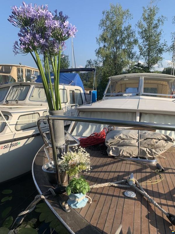 Chris Craft Cavallier D 30