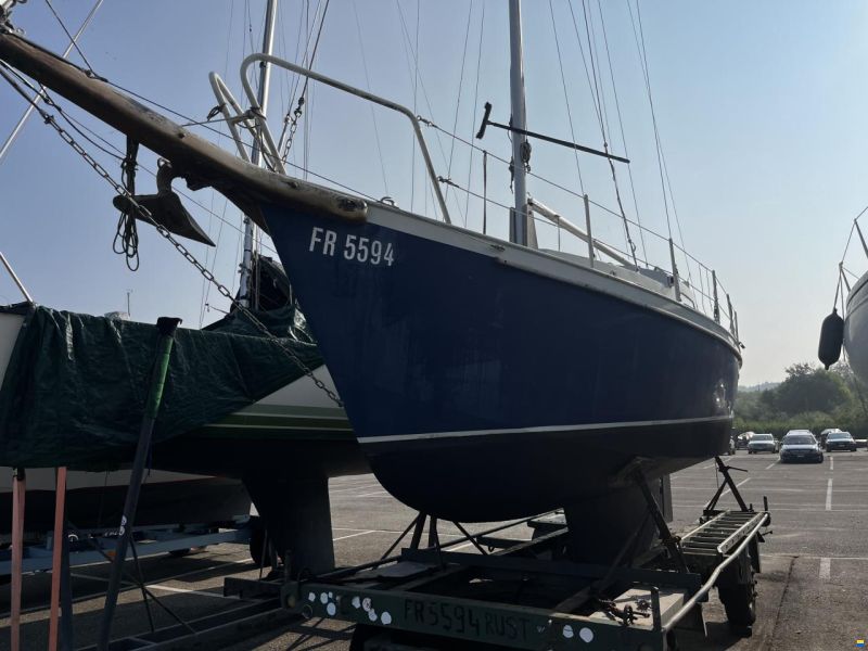 Domp sneek 770