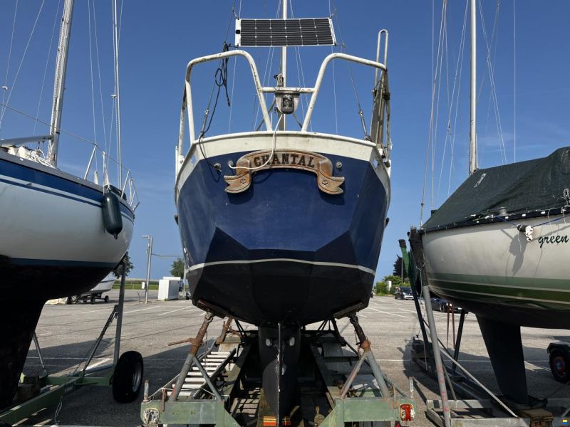 Domp sneek 770