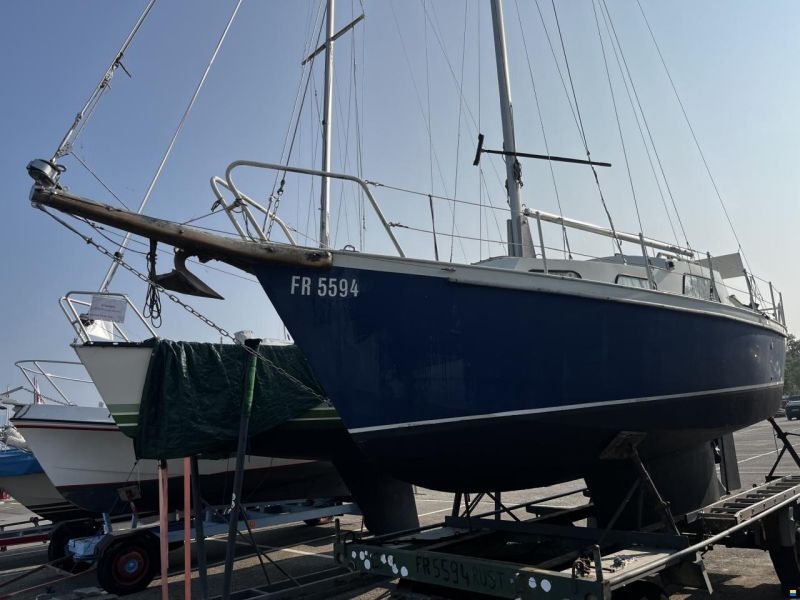 Domp sneek 770