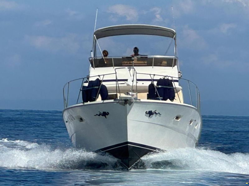 Viking 40