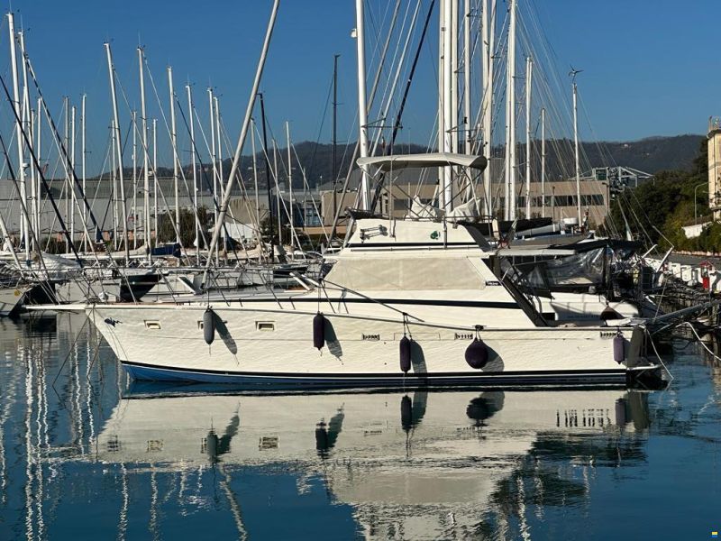 Viking 40