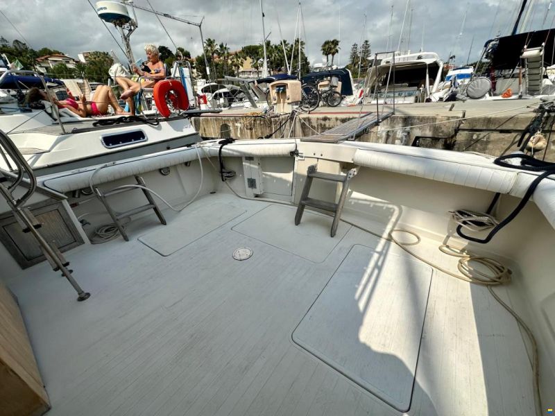 Viking 40