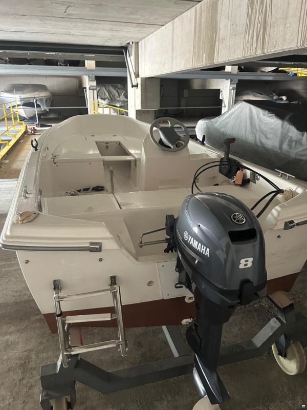 Quicksilver 440