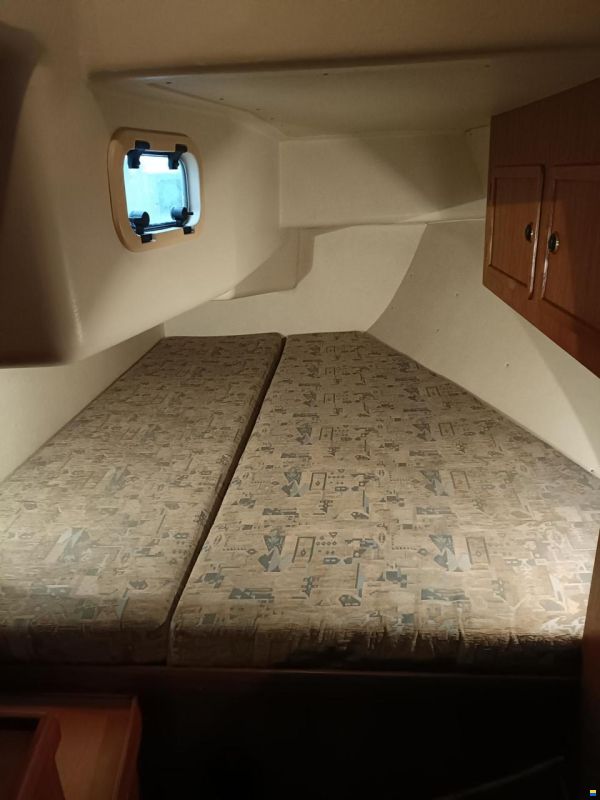 Sunwind 35