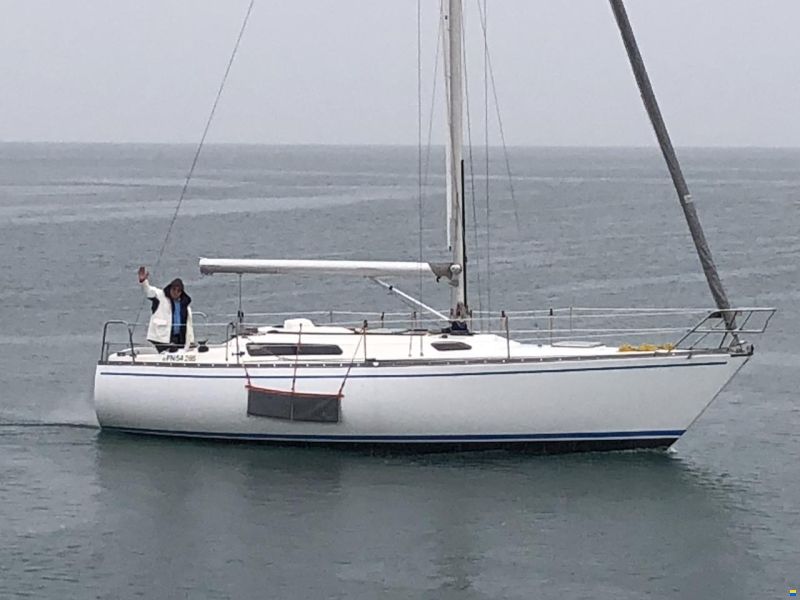 Nordcantieri Panda 31