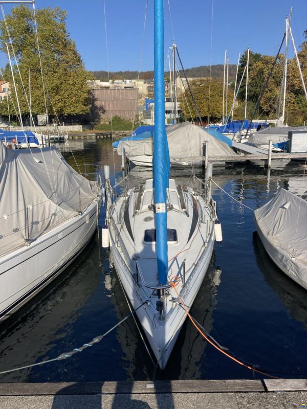 Comar Comet 28 Race